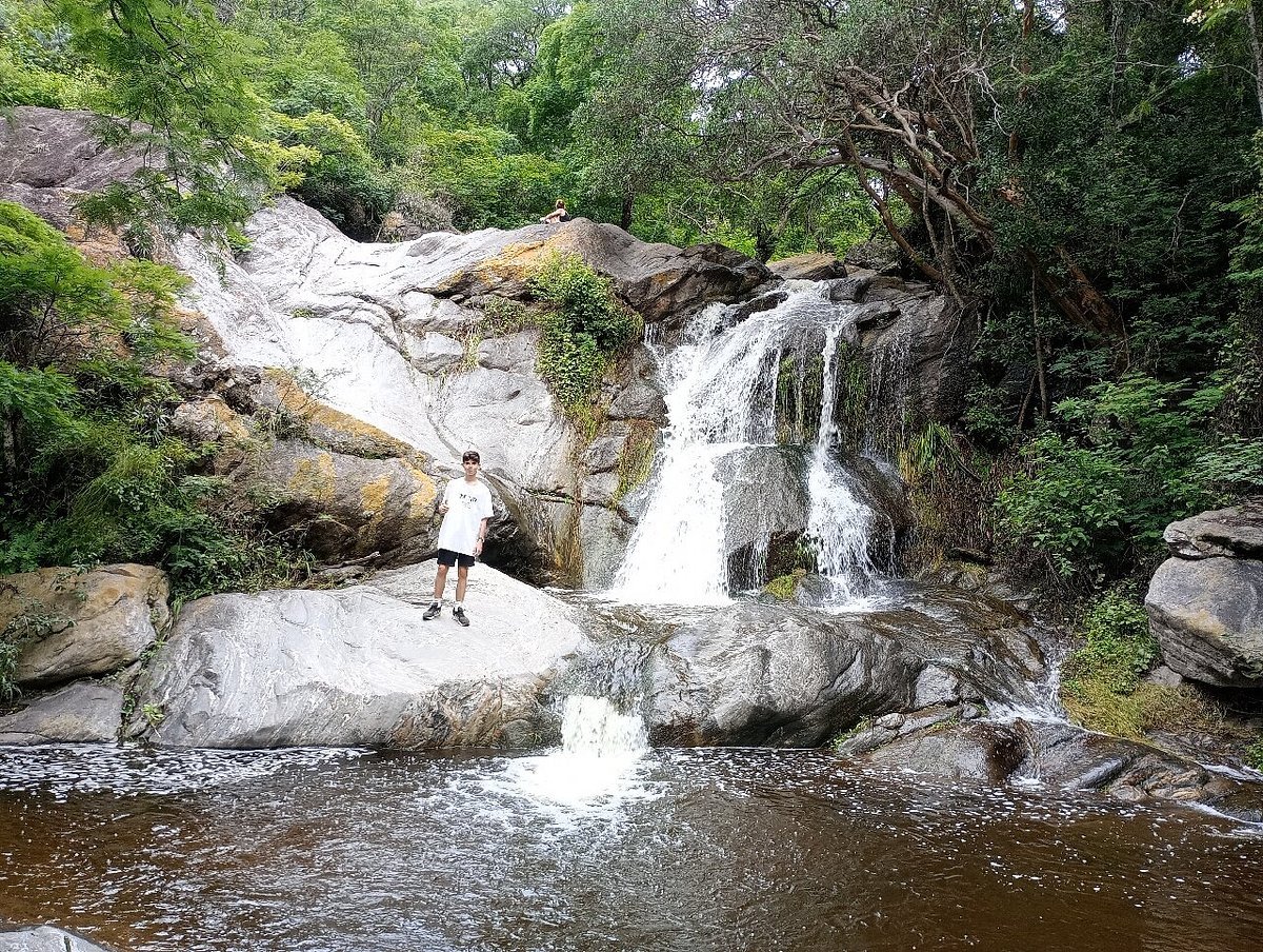 터널 주변 융가스 숲길 (생생한 자연)